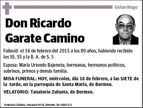 GARATE CAMINO,RICARDO