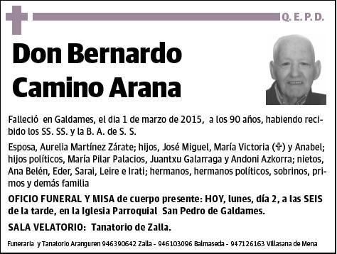 CAMINO ARANA,BERNARDO