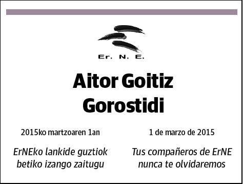 GOITIZ GOROSTIDI,AITOR