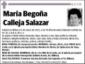 CALLEJA SALAZAR,MARIA BEGOÑA