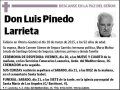 PINEDO LARRIETA,LUIS