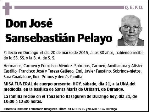 SANSEBASTIAN PELAYO,JOSE