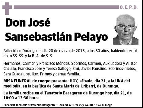 SANSEBASTIAN PELAYO,JOSE