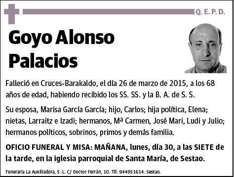 ALONSO PALACIOS,GOYO