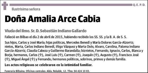 ARCE CABIA,AMALIA