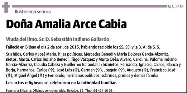 ARCE CABIA,AMALIA