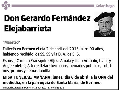 FERNANDEZ ELEJABARRIETA,GERARDO