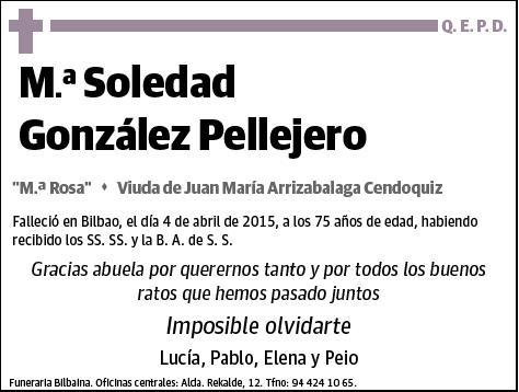 GONZALEZ PELLEJERO,MARIA SOLEDAD