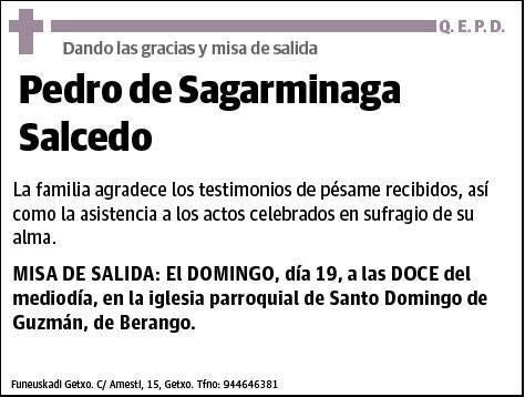 DE SAGARMINAGA SALCEDO,PEDRO