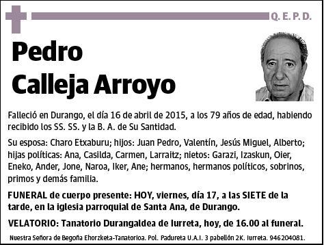 CALLEJA ARROYO,PEDRO