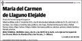 DE LLAGUNO ELEJALDE,MARIA DEL CARMEN