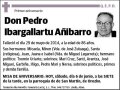 IBARGALLARTU AÑIBARRO,PEDRO