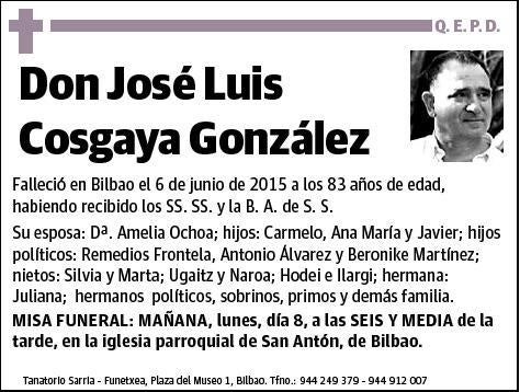 COSGAYA GONZALEZ,JOSE LUIS