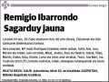 IBARRONDO SAGARDUY,REMIGIO