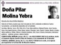 MOLINA YEBRA,PILAR