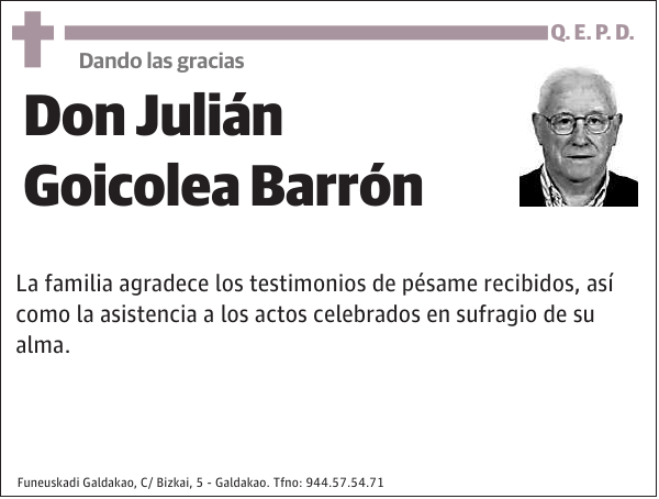 Julián Goicolea Barrón