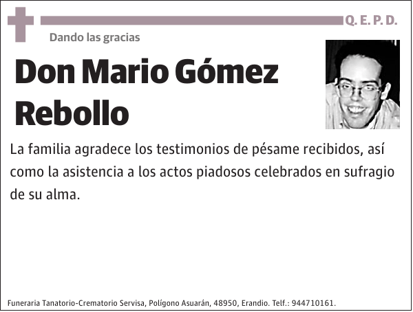 Mario Gómez Rebollo