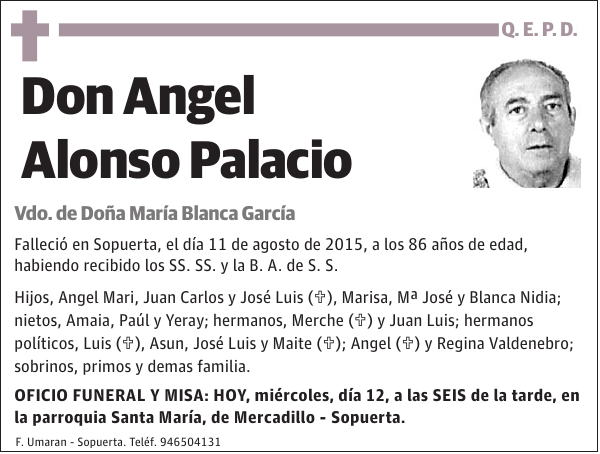 Angel Alonso Palacio