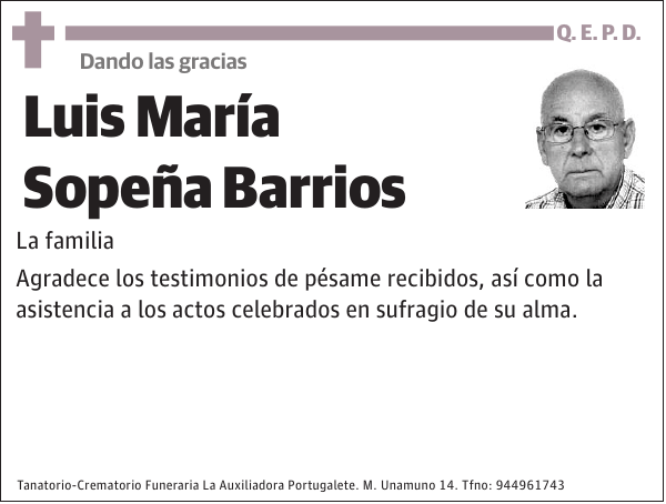 Luis María Sopeña Barrios