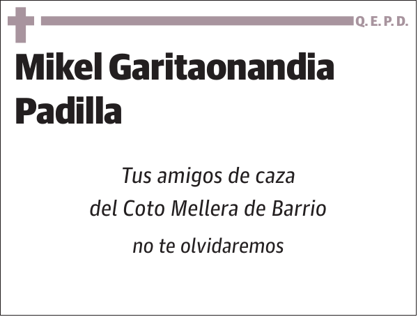 Mikel Garitaonandia Padilla