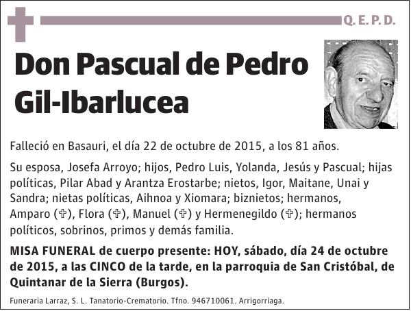 Pascual de Pedro Gil-Ibarlucea