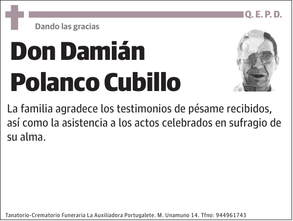 Damián Polanco Cubillo