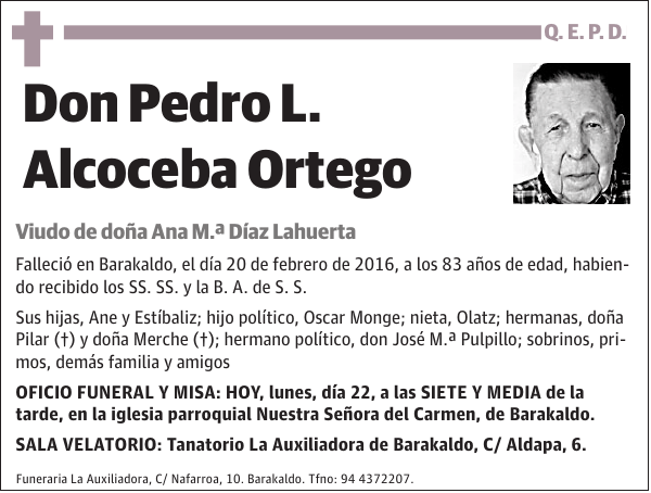 Pedro L. Alcoceba Ortego