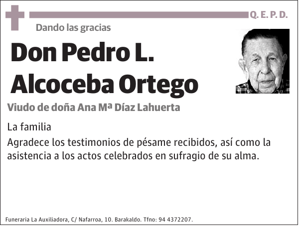 Pedro L. Alcoceba Ortego