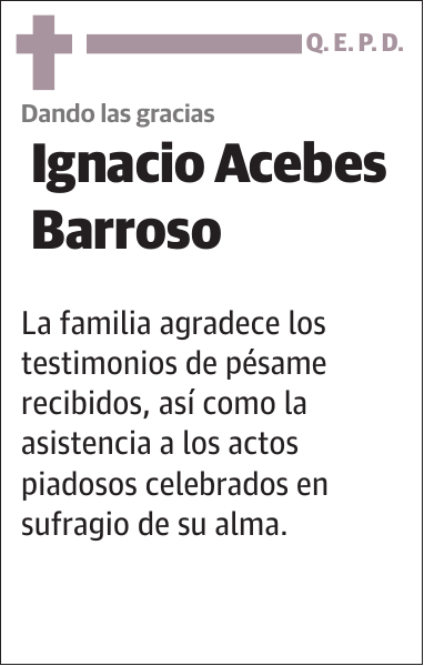 Ignacio Acebes Barroso