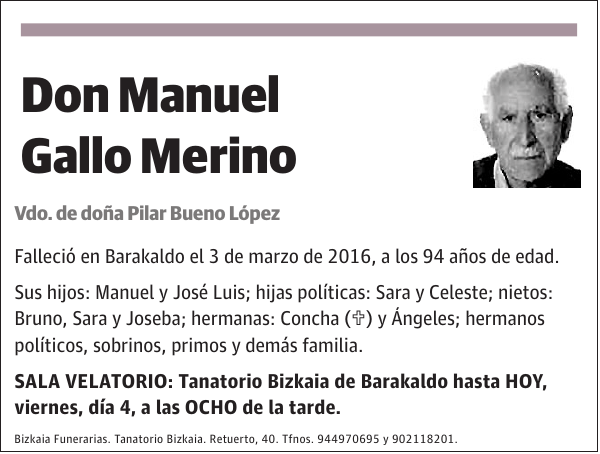 Manuel Gallo Merino