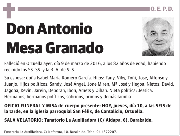 Antonio Mesa Granado