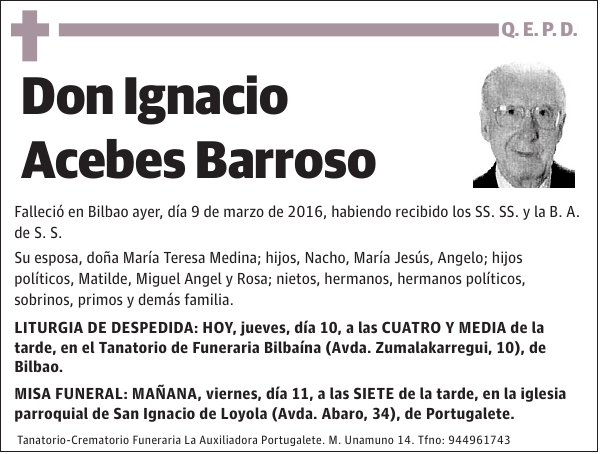 Ignacio Acebes Barroso