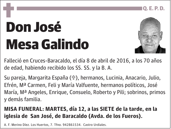 José Mesa Galindo