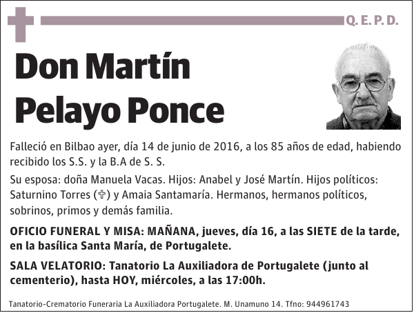 Martín Pelayo Ponce