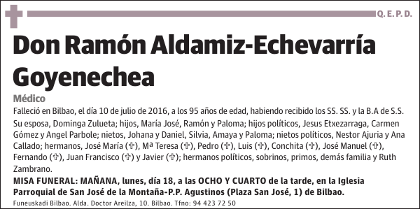 Ramón Aldamiz-Echevarría Goyenechea