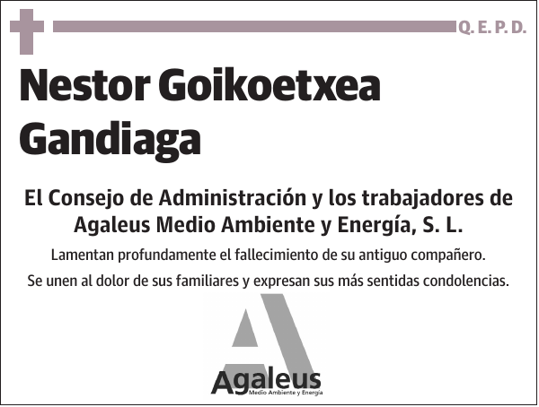 Nestor Goikoetxea Gandiaga