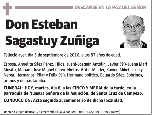 Esteban Sagastuy Zuñiga