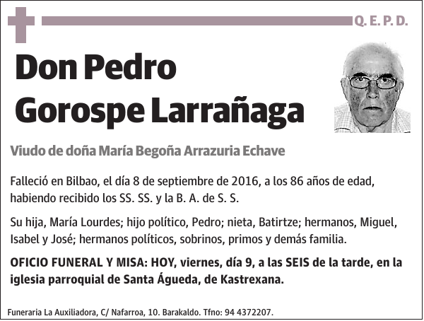 Pedro Gorospe Larrañaga