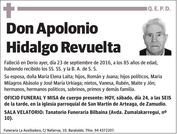 Apolonio Hidalgo Revuelta