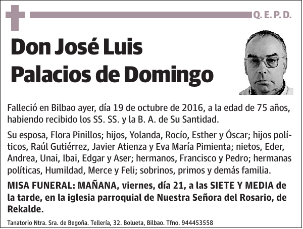 José Luis Palacios de Domingo