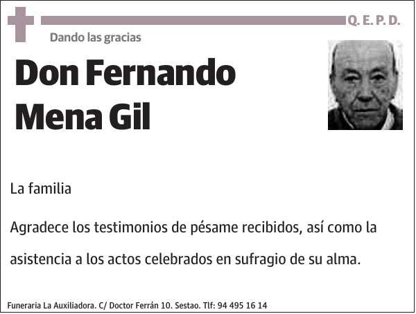 Fernando Mena Gil