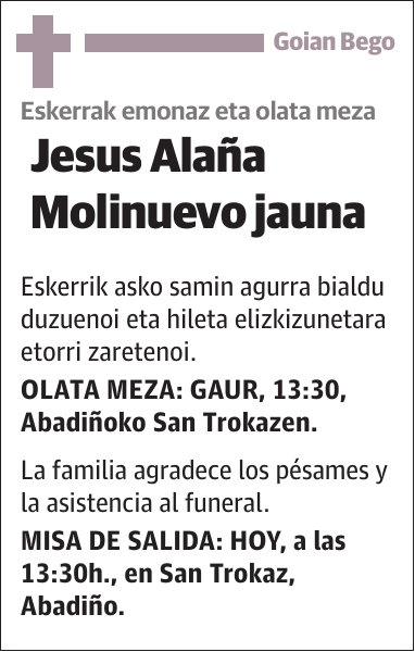 Jesus Alaña Molinuevo