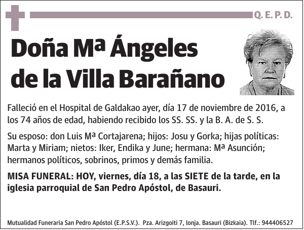 Mª Ángeles de la Villa Barañano