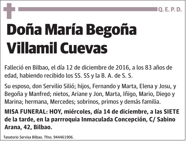 María Begoña Villamil Cuevas