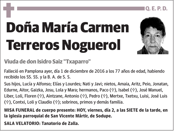 María Carmen Terreros Noguerol