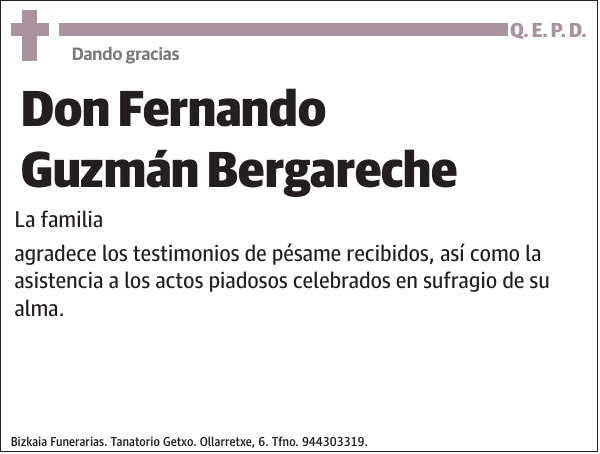 Fernando Guzmán Bergareche