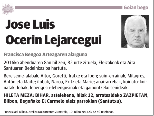 Jose Luis Ocerin Lejarcegui