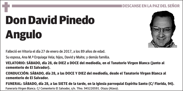 David Pinedo Angulo