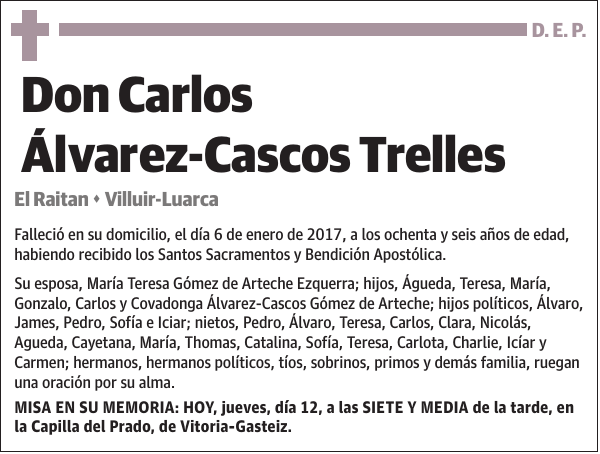 Carlos Álvarez-Cascos Trelles