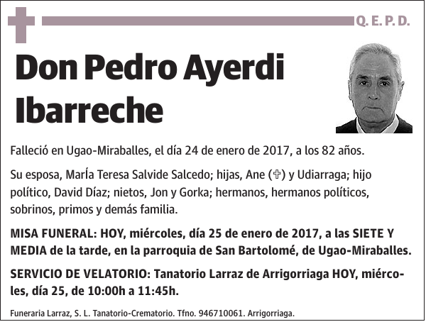 Pedro Ayerdi Ibarreche